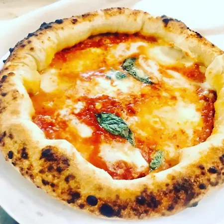 홀리데이 인 호텔